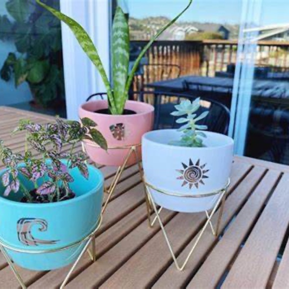 Disney X Popsugar Multi Moana Succulent Pot 3-Piece Set - Picture 3 of 3